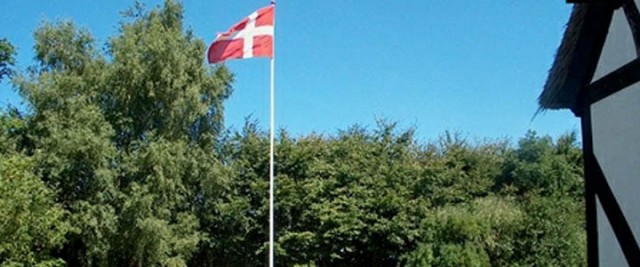 Fynsk natur og skov